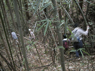 �������`�y�������`