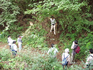 �S���u������`�I�v