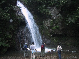 �����`���������`��