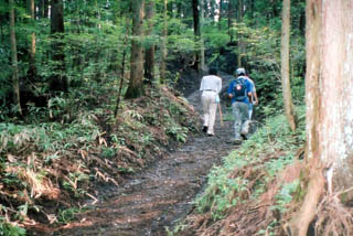 ���킟�`�L�c�C���`