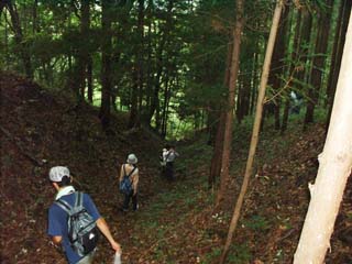 �ǂ��܂ōs�����`