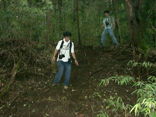 ���������o�����̂ɂ܂��~���̂���`