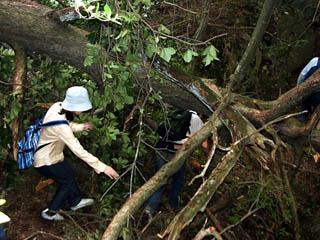 �Ȃ�ł킽���΂���ʂ��̂�