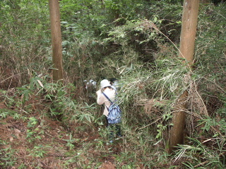 �L���`�S�R�O���݂��Ȃ��`