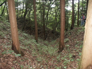 ����������~��悤���`